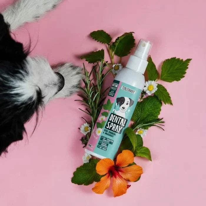 Natürliches Dentalspray zur Entfernung von Zahnstein von Tierliebhaber