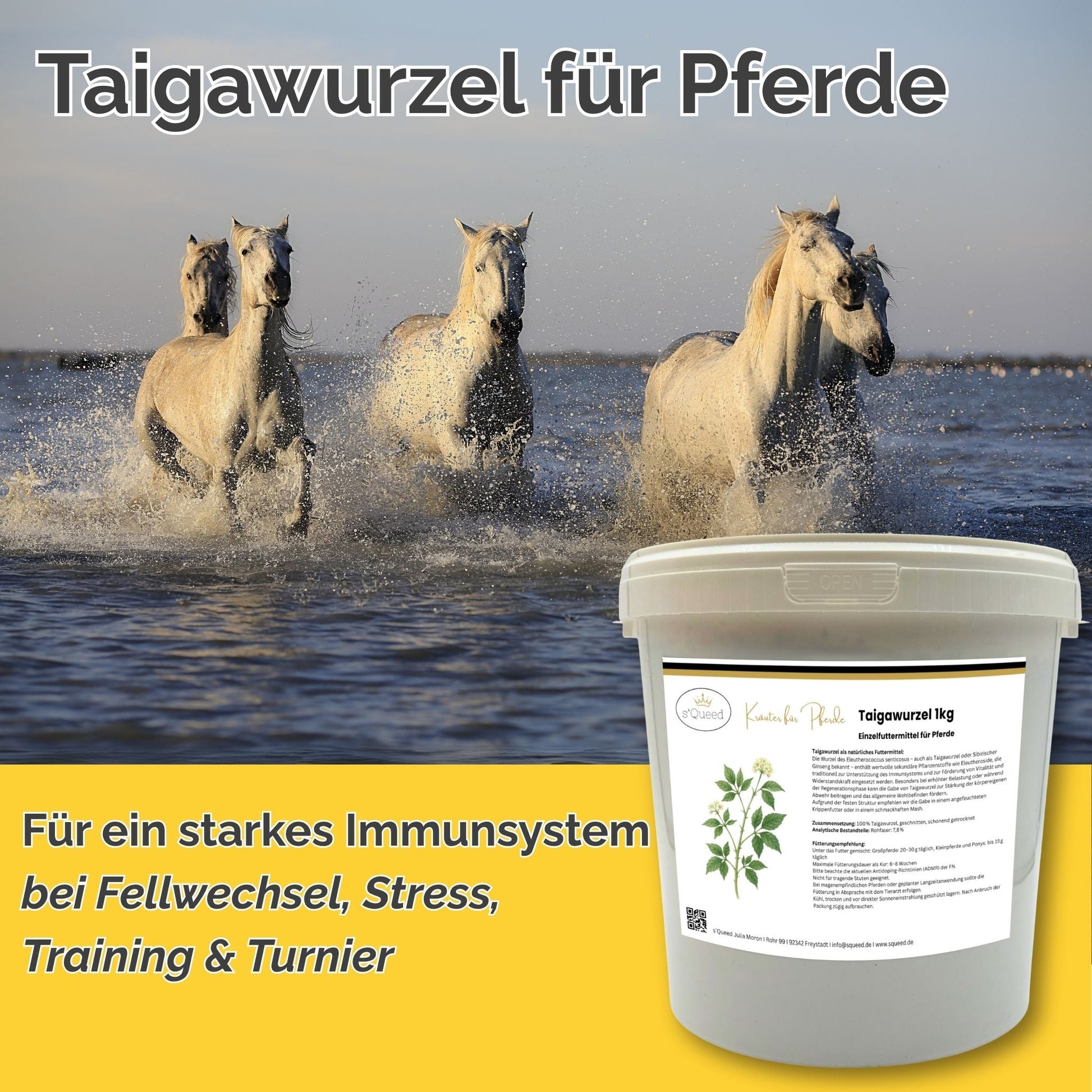 stuten aufbewahren Taigawurzel Pferd