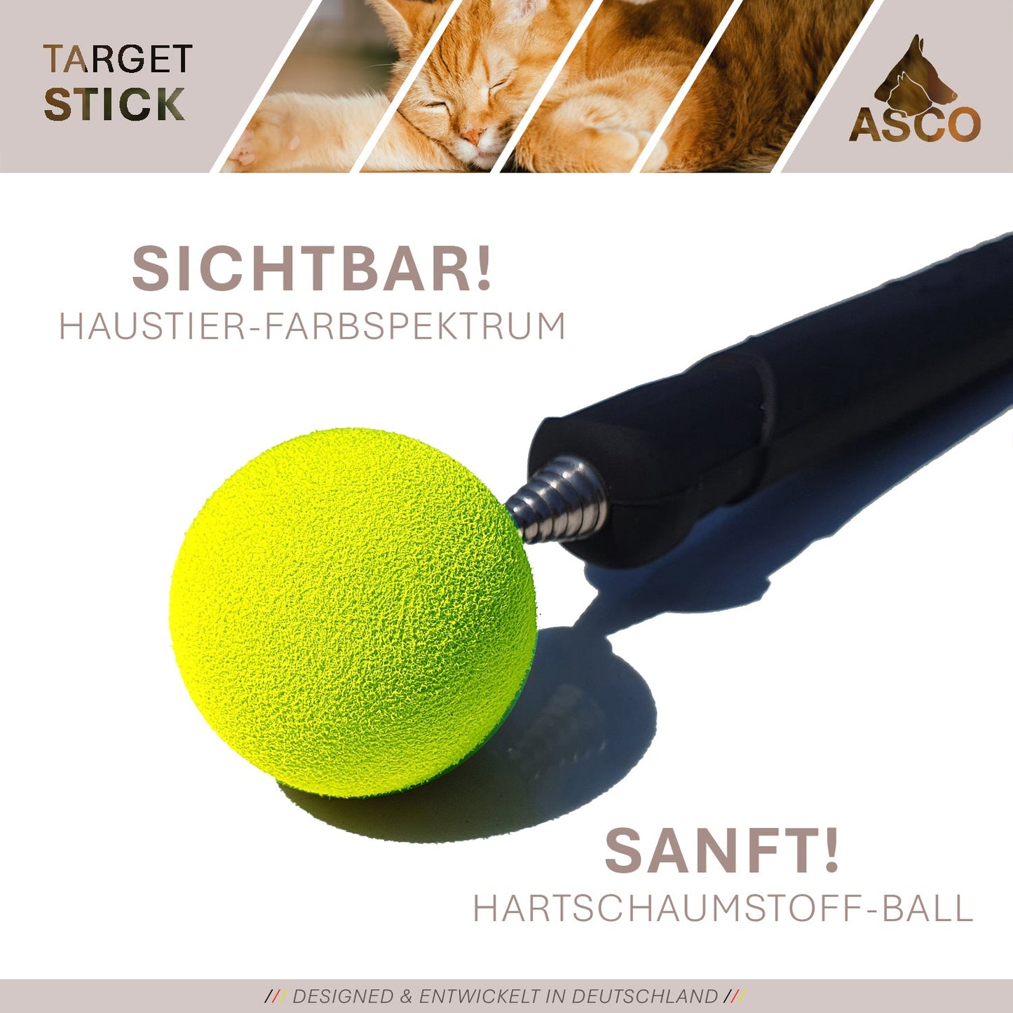 ASCO Target Stick - Target Stab für Hunde Katzen Targettraining - Targetstick ausziehbar mit Softball - Edelstahl Targetstab mit Teleskopfunktion