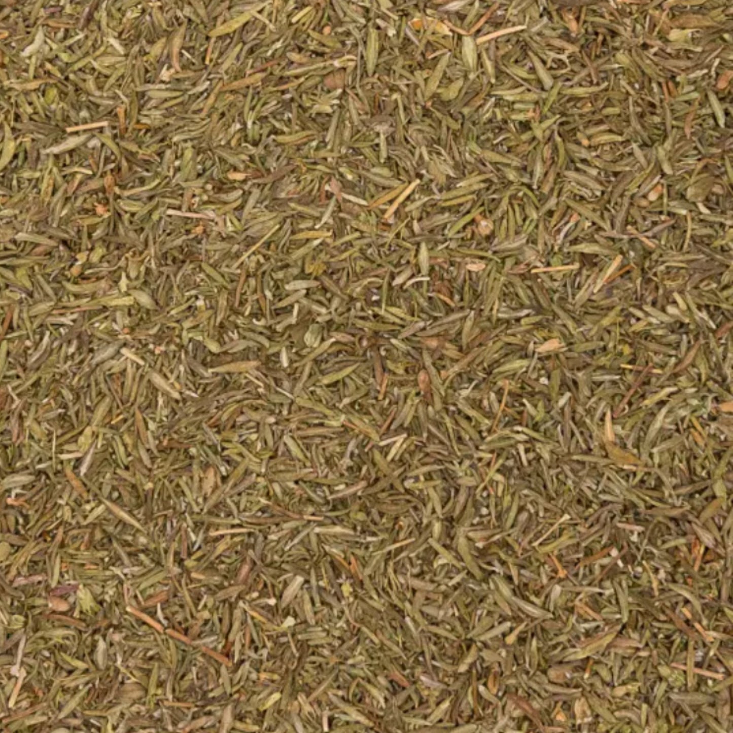 Thymian Pferd - Hustenkräuter für Pferde - Schleimlöser Pferd