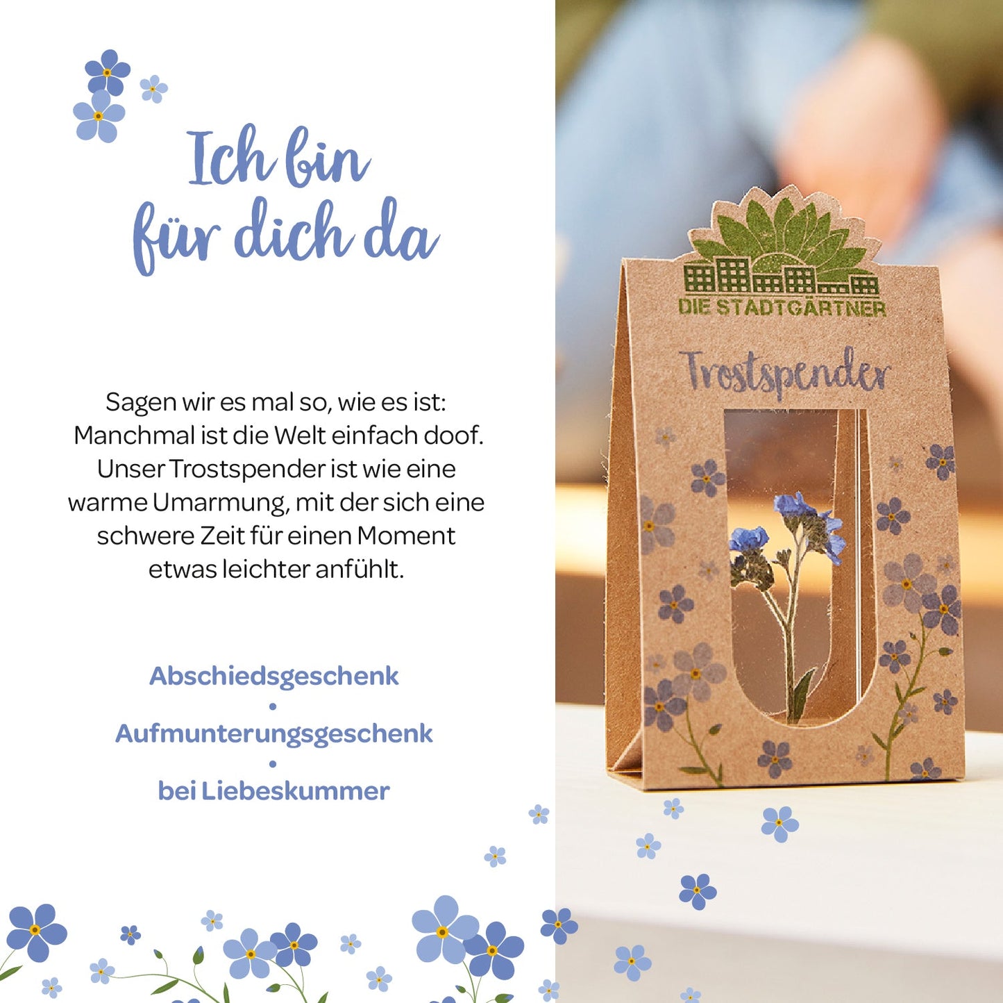 Trostspender – Echtes Vergissmeinnicht