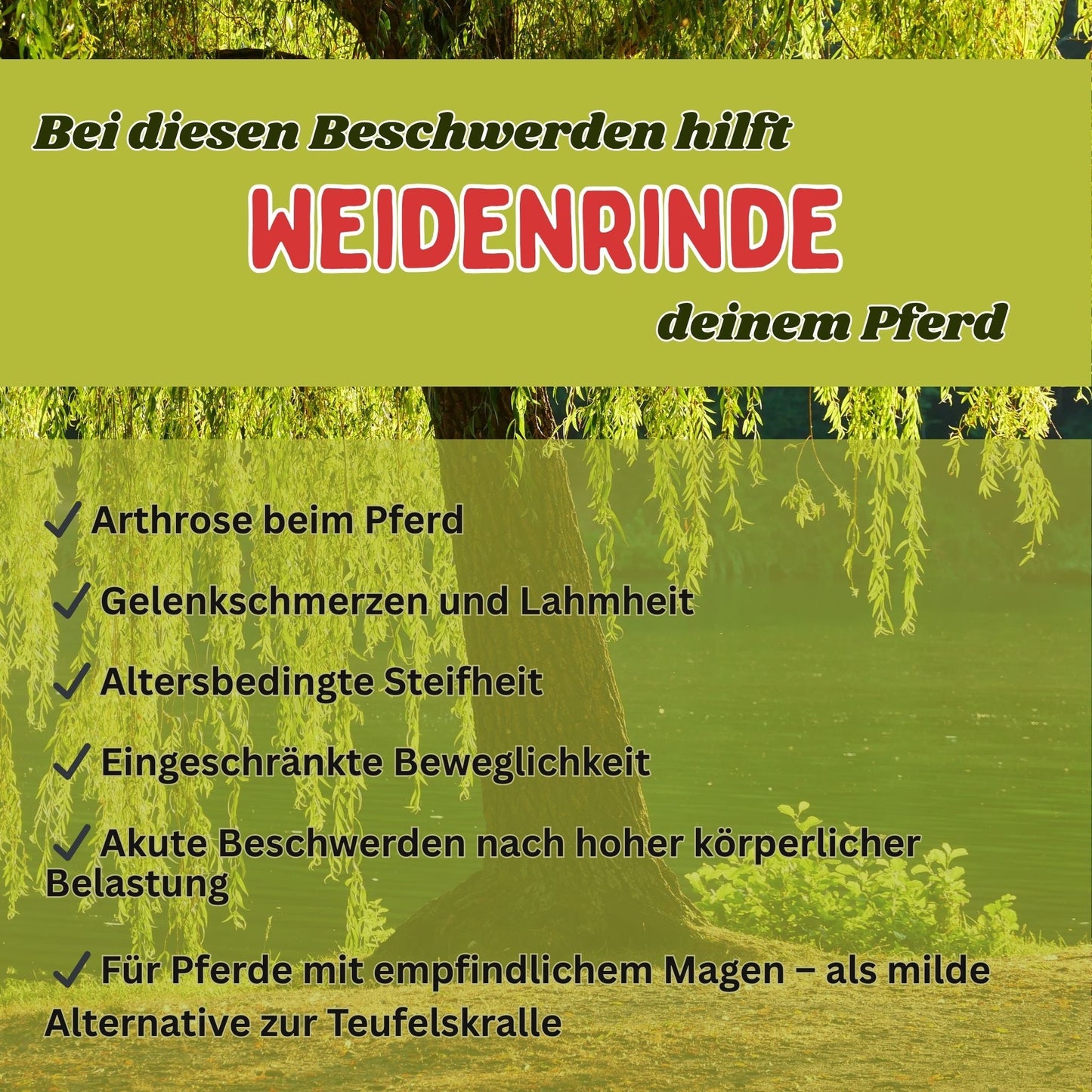 Weidenrinde Pferd geschnitten
