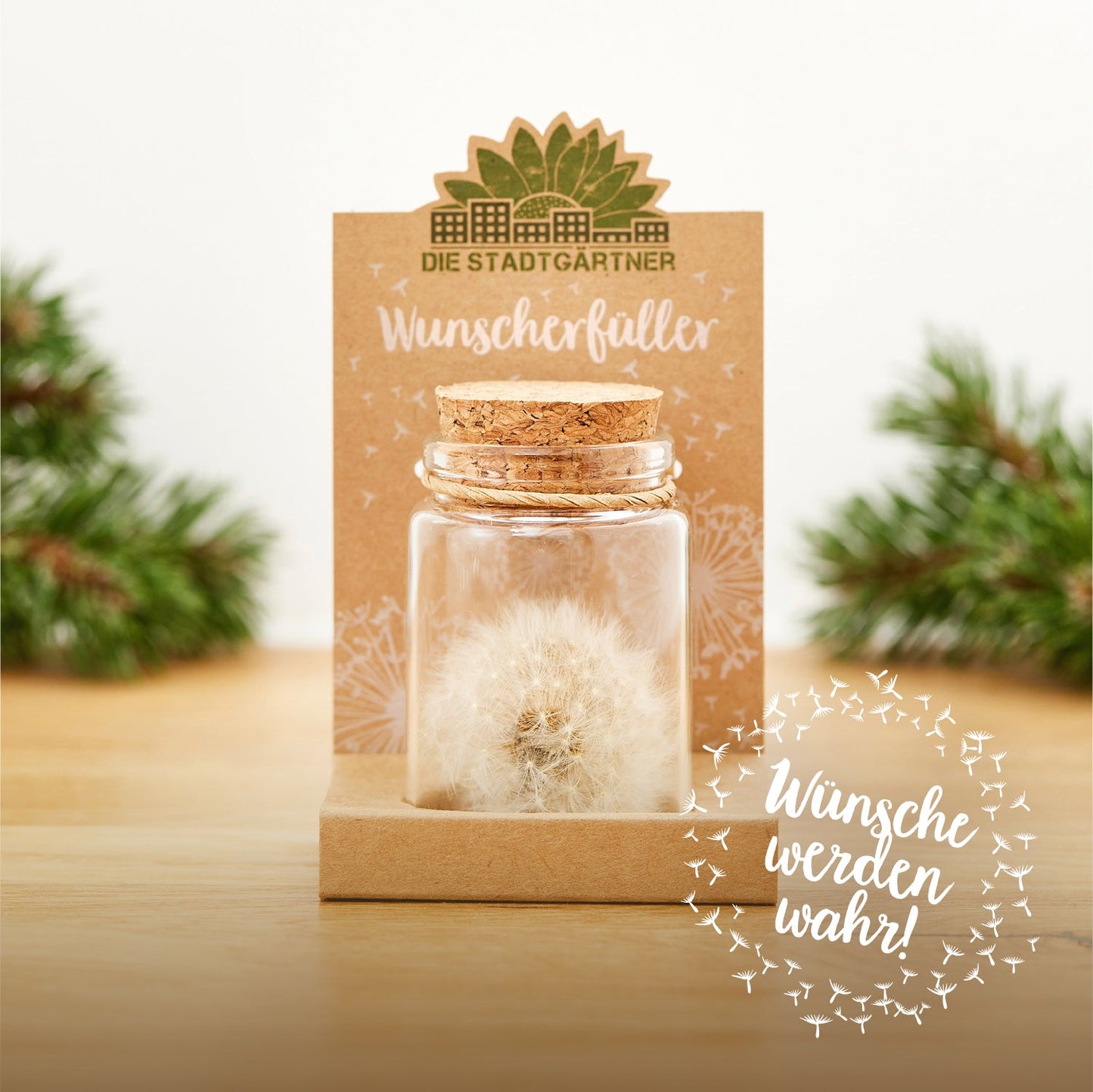 Großer Wunscherfüller – Pusteblume im Glas