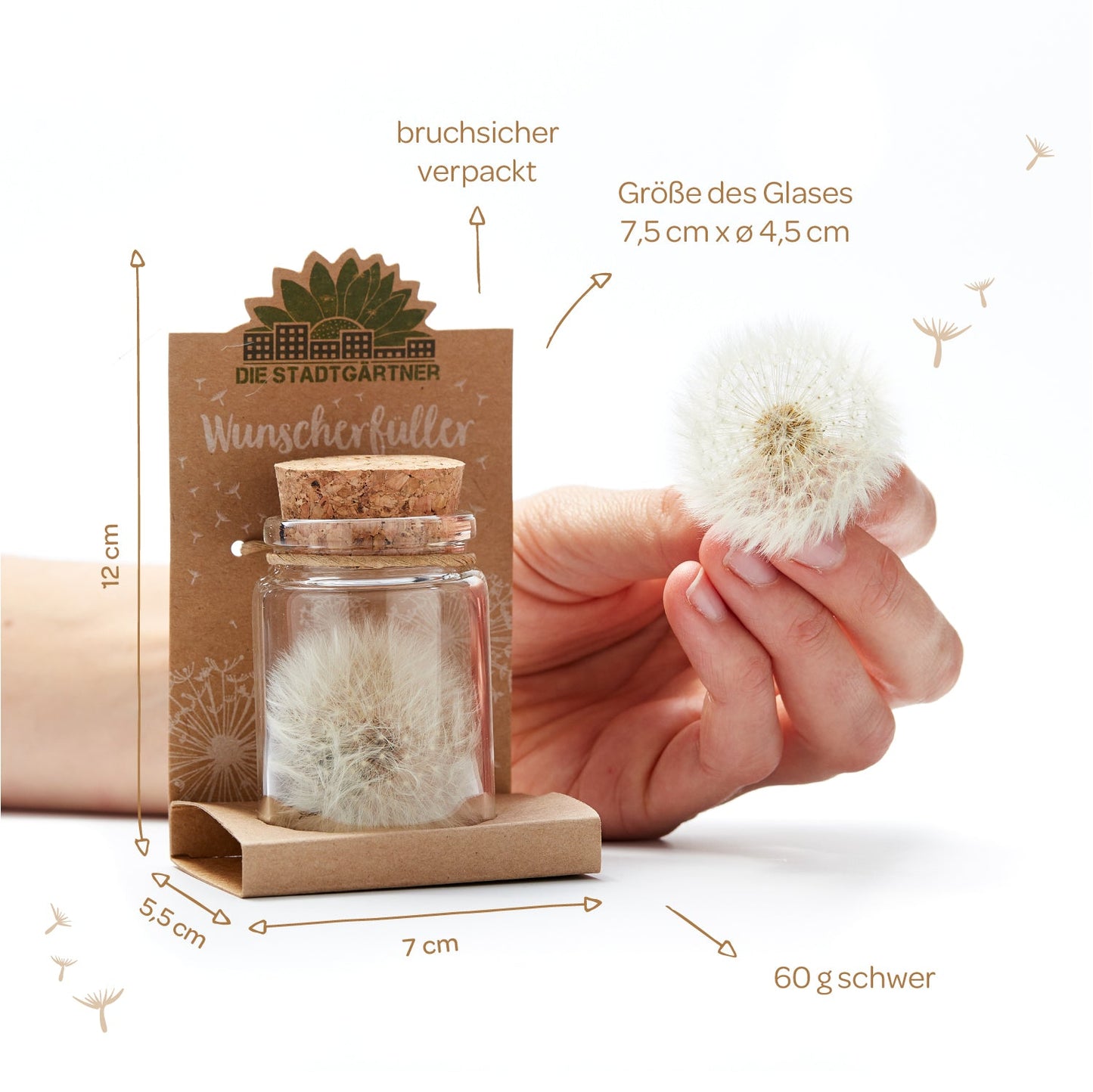 Großer Wunscherfüller – Pusteblume im Glas