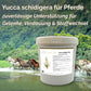 Yucca schidigera Pferd - Pulver für Gelenke, Verdauung und Stoffwechsel