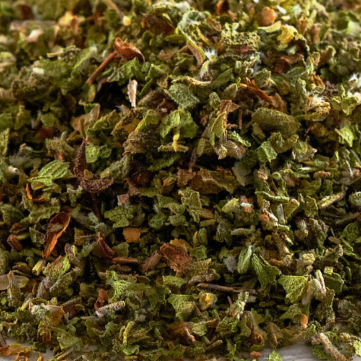 Zistrose Pferd - Immunsystem stärken Pferd