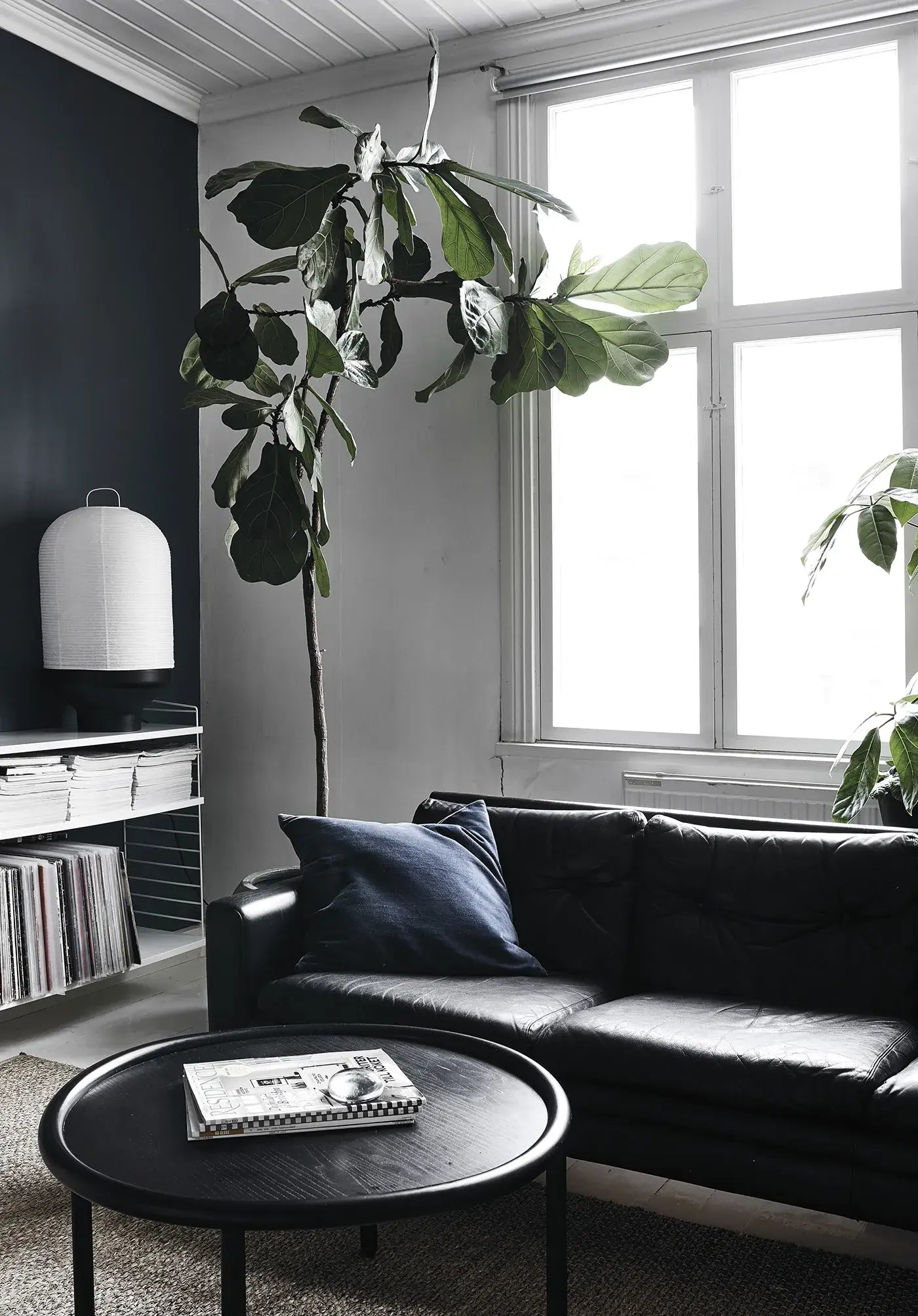 Green Home Book - Coffee Table Book - Grün Wohnen