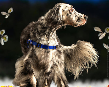 Anti-Stress-Geschirr STURMFREI®, Größe L