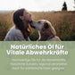 Alpha-Immun Futteröl für Hunde