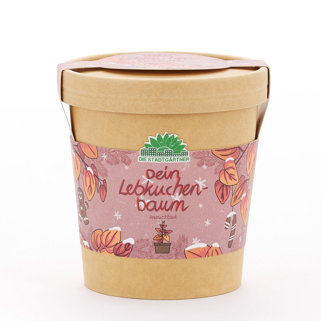 Lebkuchenbaum aus dem Becher