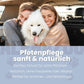 Big Paw-ty Pfotenpflege für Hunde