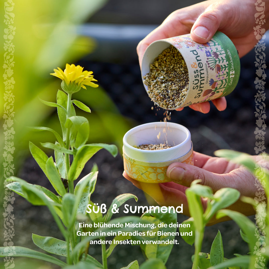 Streuwiese "Süß & Summend"