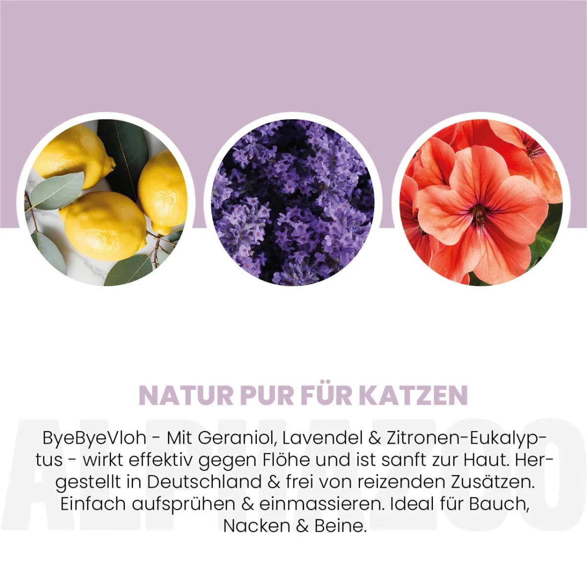 ByeByeVloh Spot-On für Katze