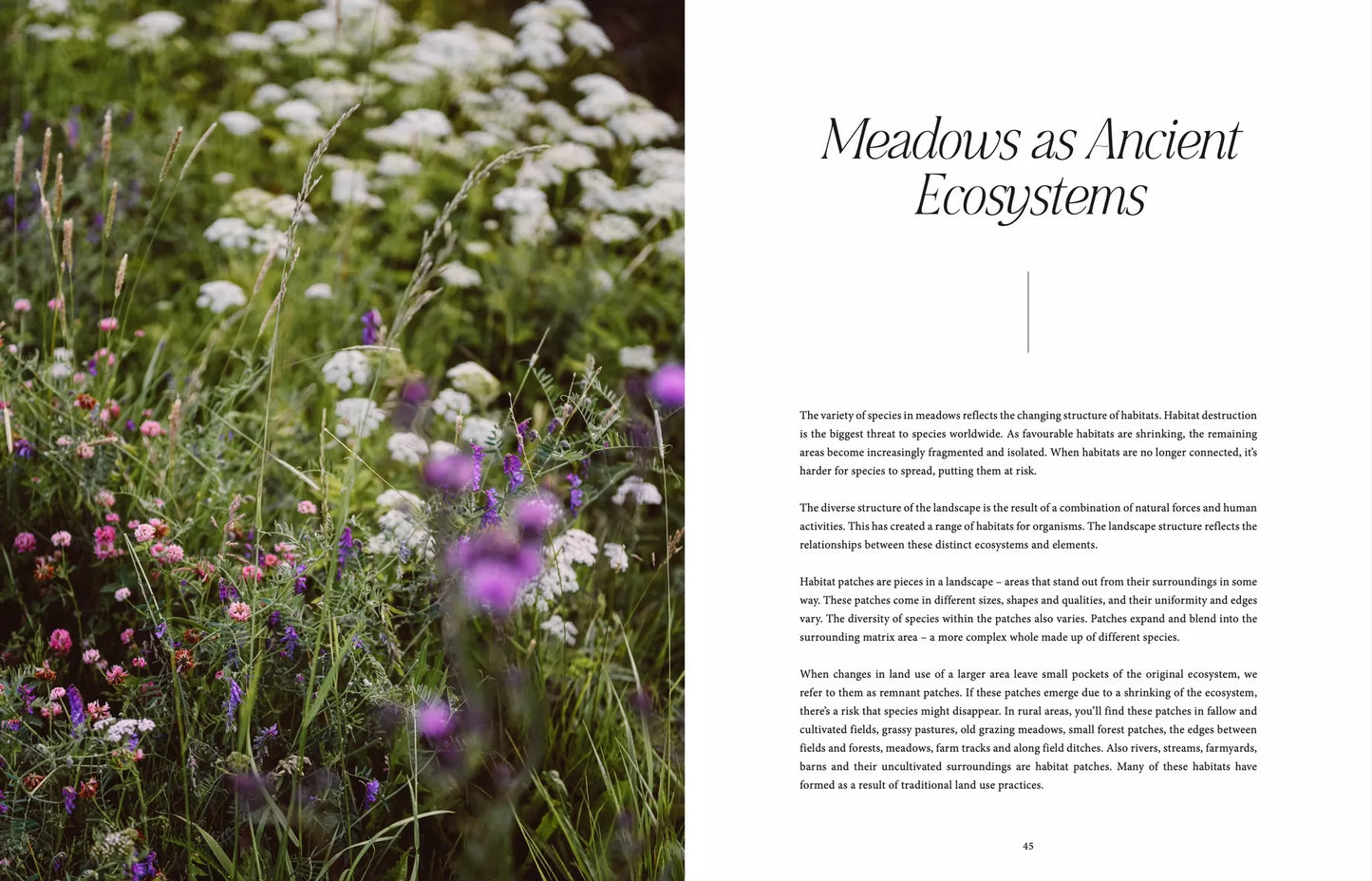 "Where Flowers Bloom" - Cozy Publishing - Coffee Table Book