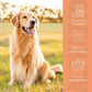 Wild + Rind Nassfutter für Adult Hunde