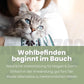 Darmonie Liquid für Katzen