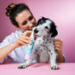 Natürliches Dentalspray zur Entfernung von Zahnstein von Tierliebhaber