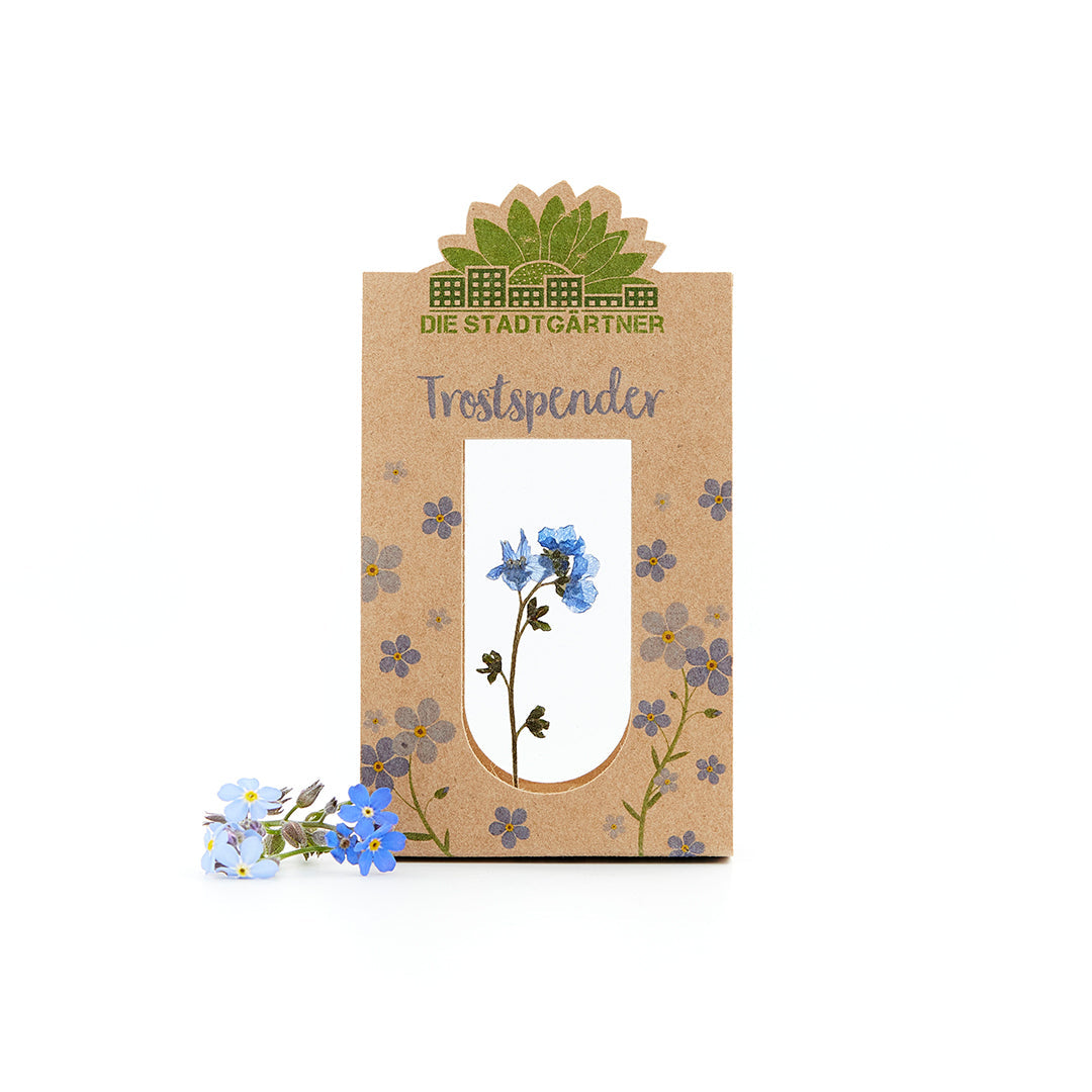 Trostspender – Echtes Vergissmeinnicht