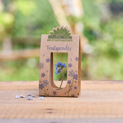 Trostspender – Echtes Vergissmeinnicht