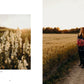 "Where Flowers Bloom" - Cozy Publishing - Coffee Table Book