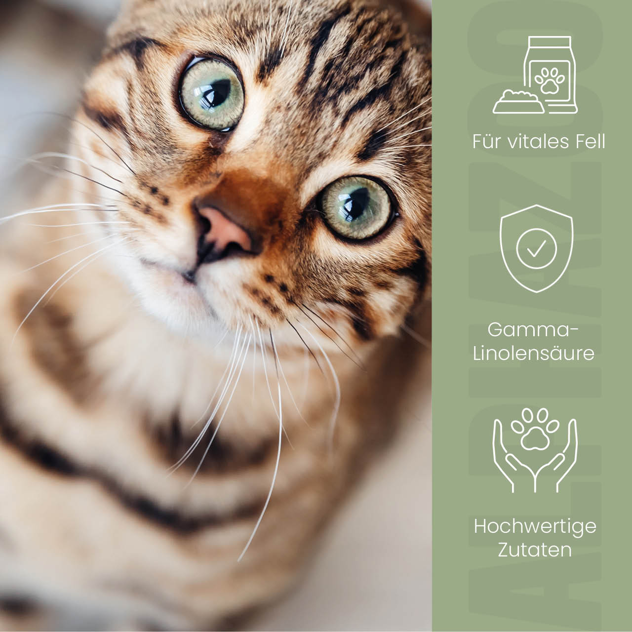 Fellliebe Futteröl für Katzen