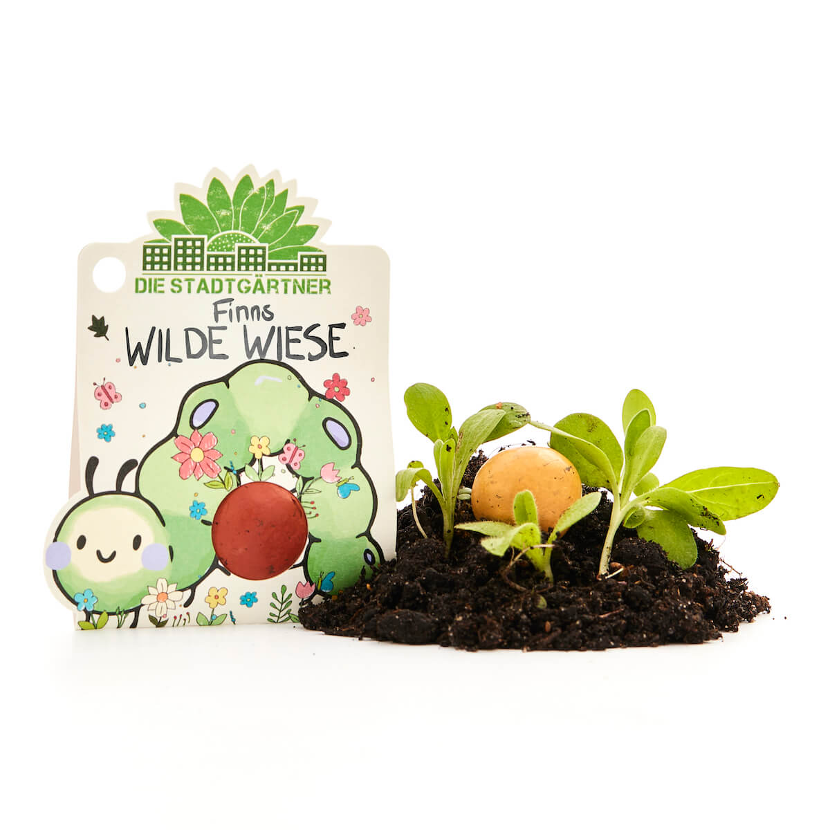 1 Blumenmurmel "Finns Wilde Wiese"