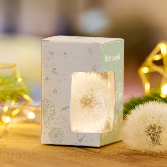 Wunscherfüller – Geld kreativ verpacken