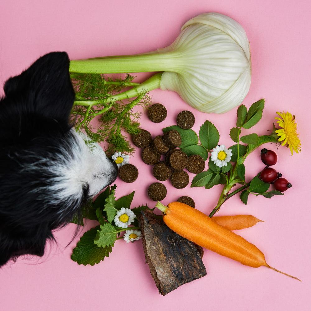Basic Bundle von Tierliebhaber