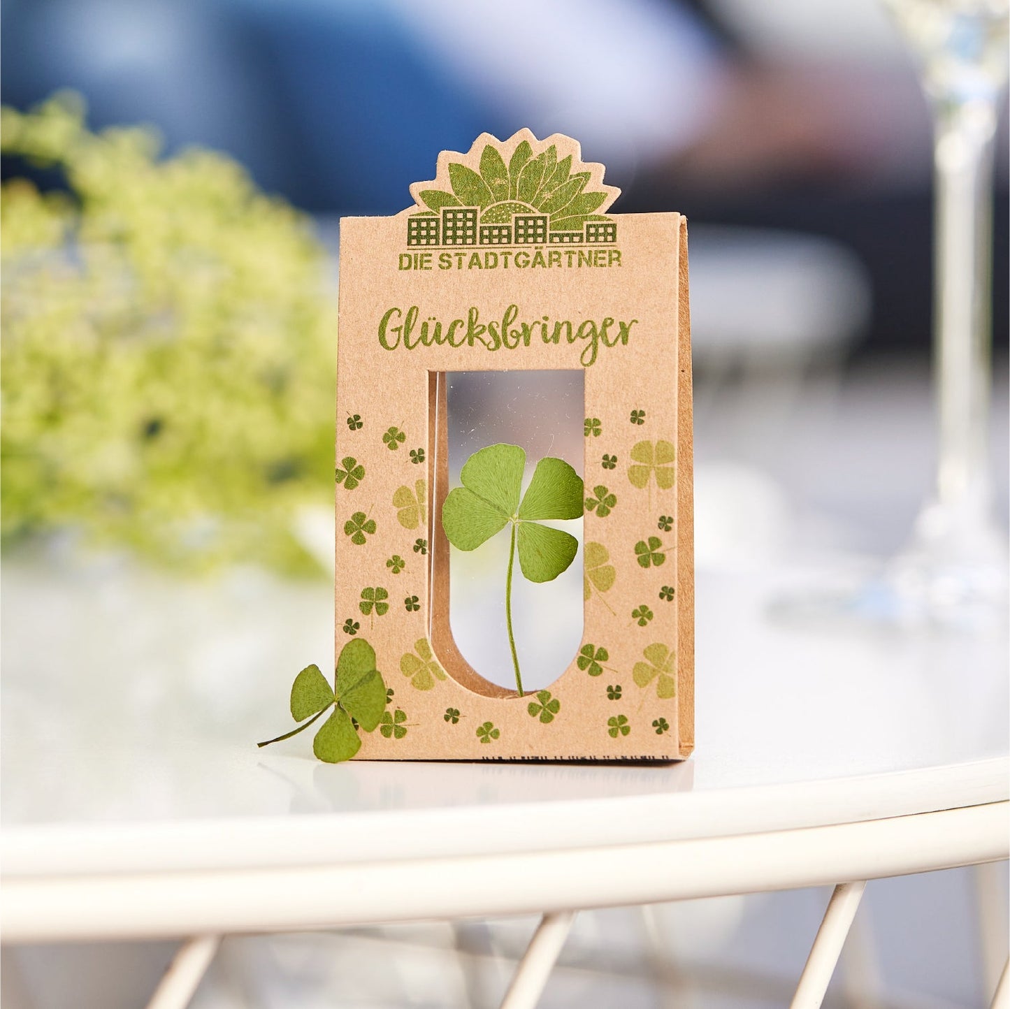 Glücksbringer – Echtes Kleeblatt