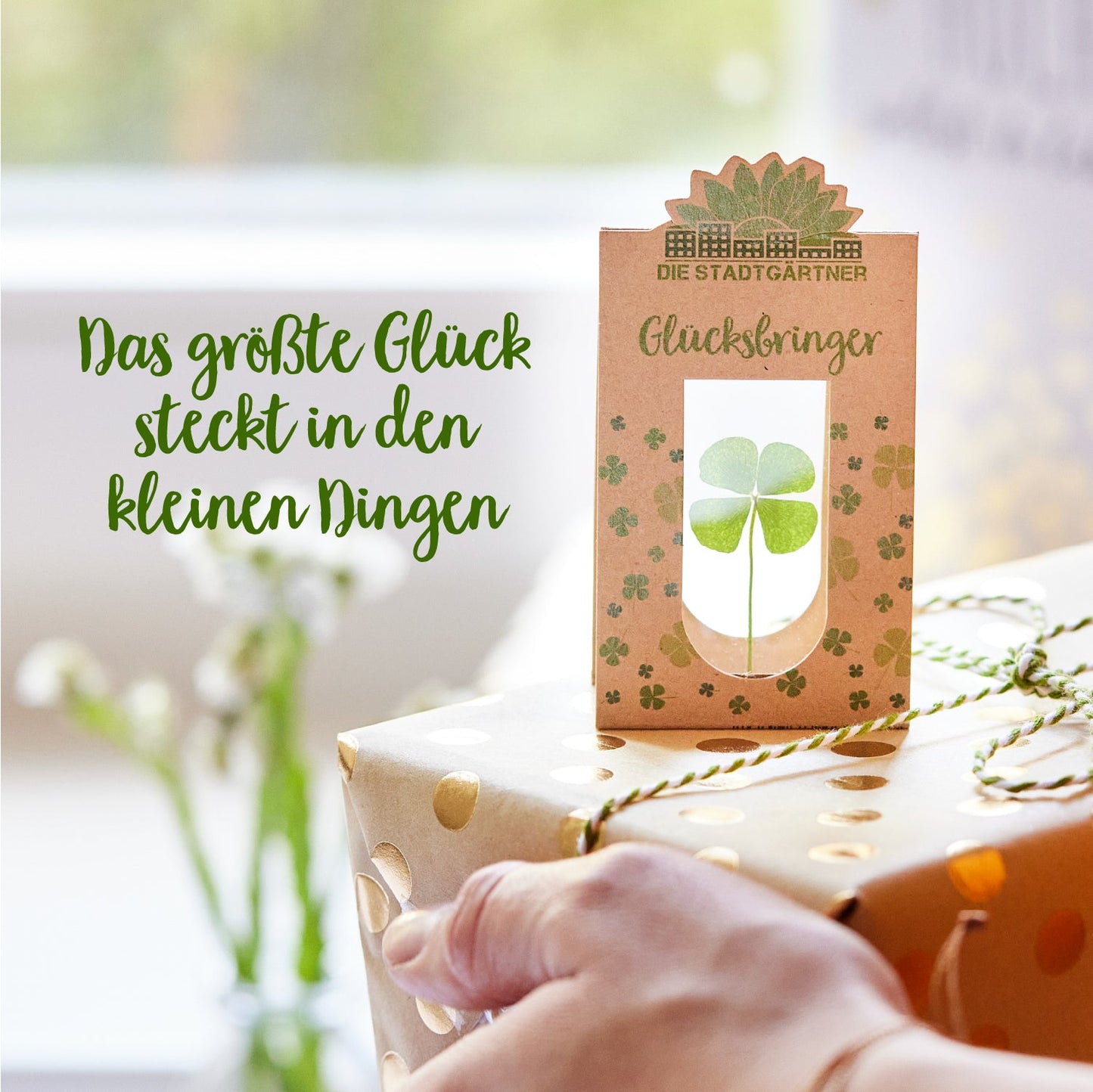 Glücksbringer – Echtes Kleeblatt