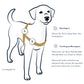 Anti-Stress-Geschirr STURMFREI® Saver für sehr kleine Hunde