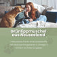 Grünlippmuschel-Pulver für Hunde