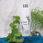 Kräuter Shampoo