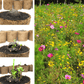 Lose Wildblumen-Samenbomben, unverpackt