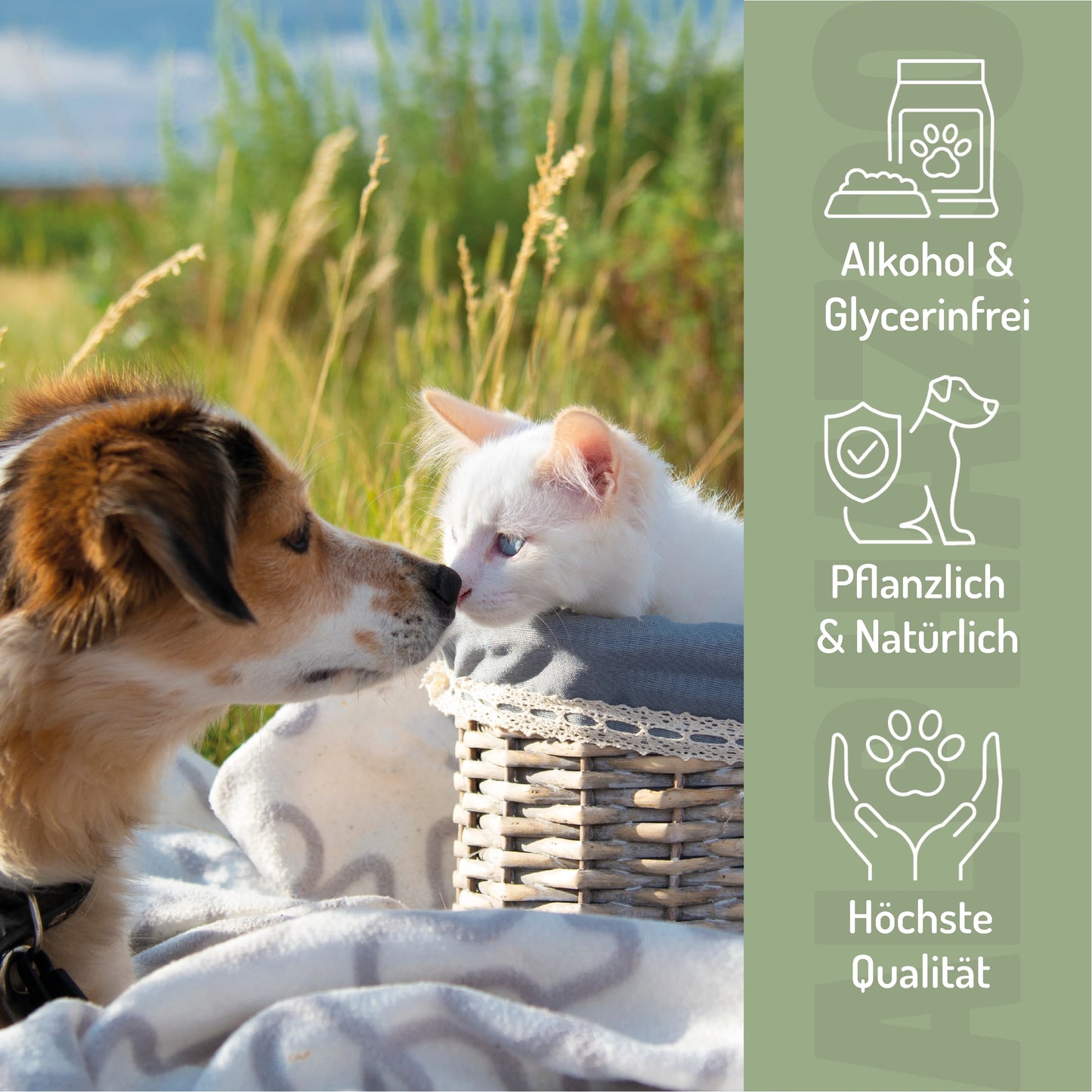 Panik Stop Bachblüten
