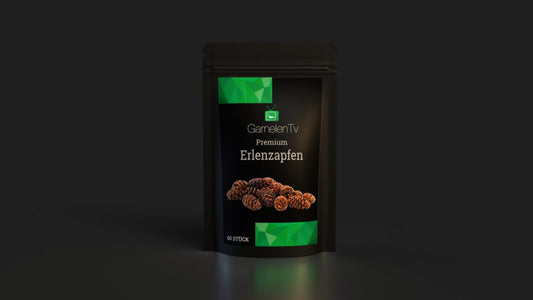 Premium Erlenzapfen -  60 Stück