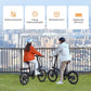 QiCYCLE E-Bike 20 Zoll klappbare Elektrofahrrad mit 8 Gangschaltung bis 25km/h für Jugendliche und Erwachsene