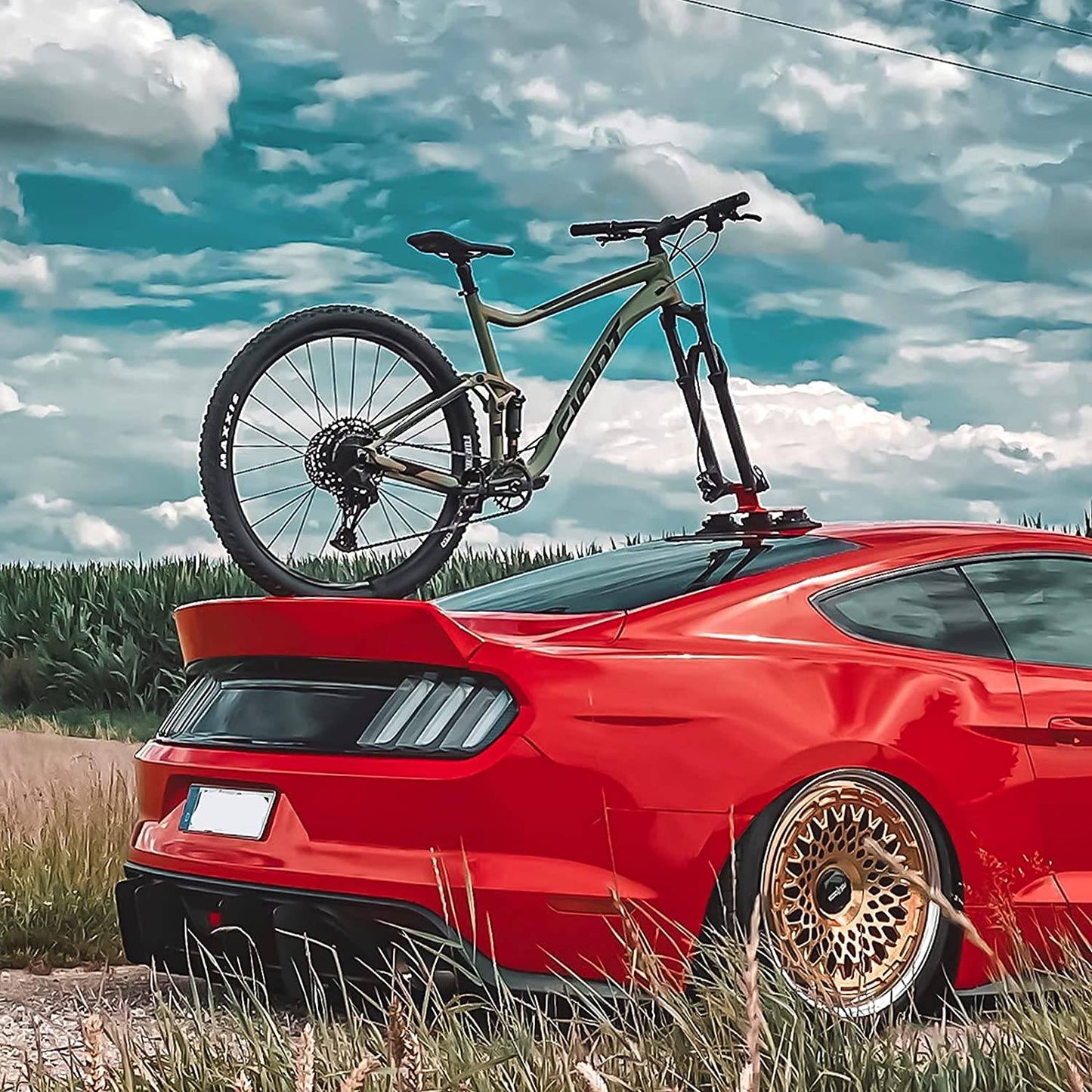 ROCKBROS Fahrradträger Fahrrad Dachträger mit Saugnäpfe Schnellmontage