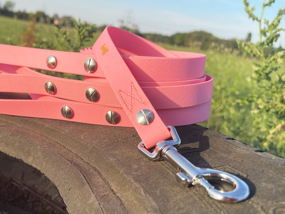 Hundeleine UM'S ECK (1,50 m) aus BioThane®/POP - Band