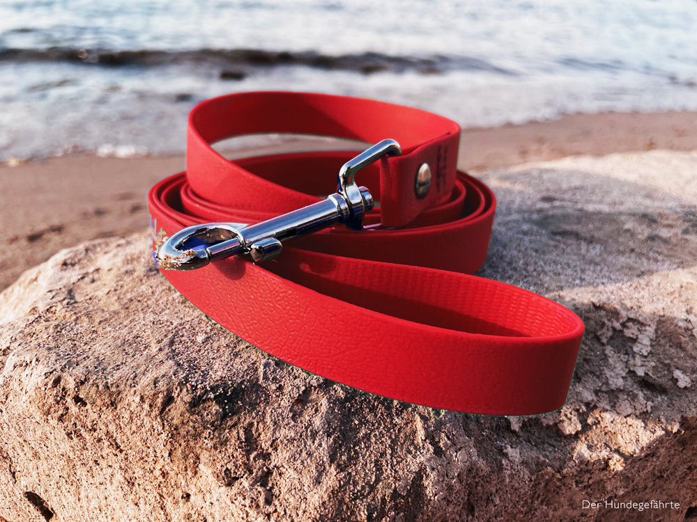 Hundeleine UM'S ECK (1,50 m) aus BioThane®/POP - Band