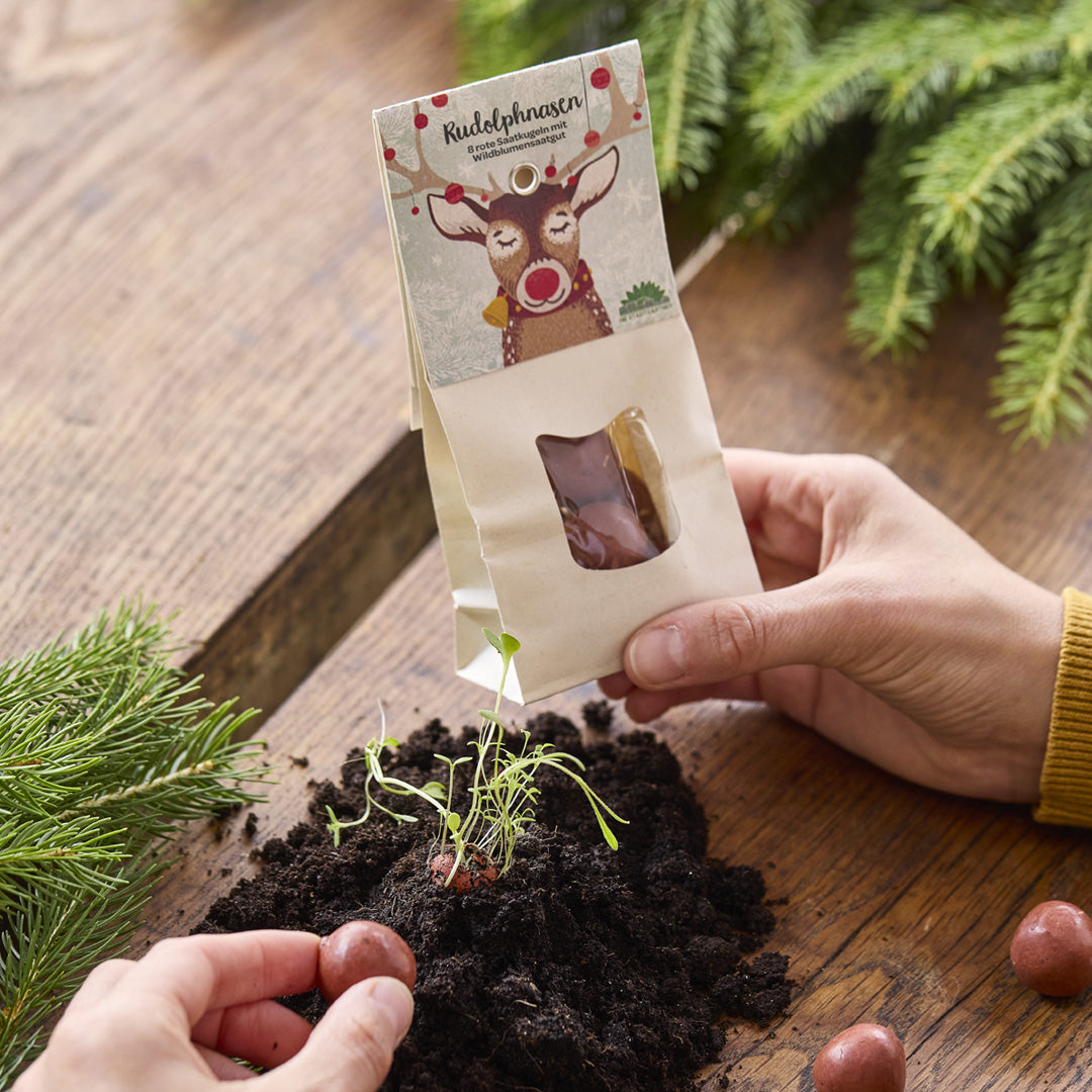 Rudolphnasen – Rote Blumenmurmeln