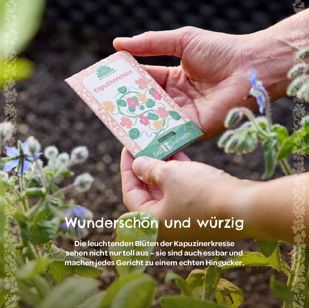 BIO-Saatgut Kapuzinerkresse