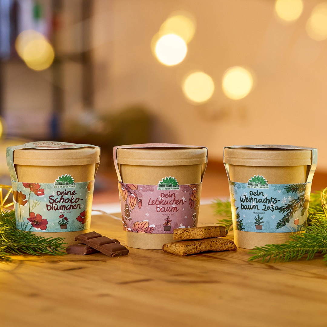 Schokoblumen aus dem Becher