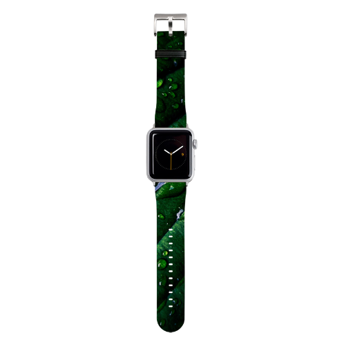 Apple Watch Straps