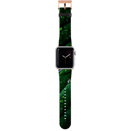 Apple Watch Straps