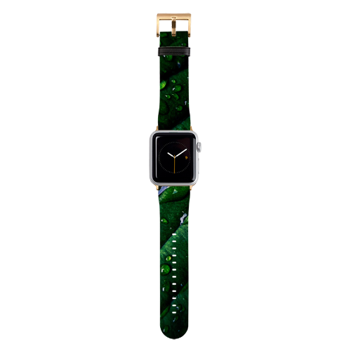 Apple Watch Straps