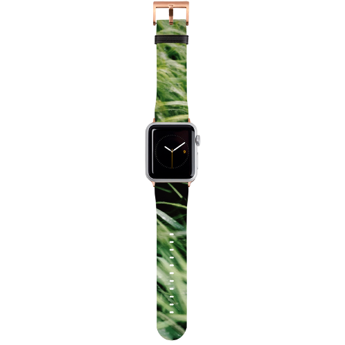 Apple Watch Straps